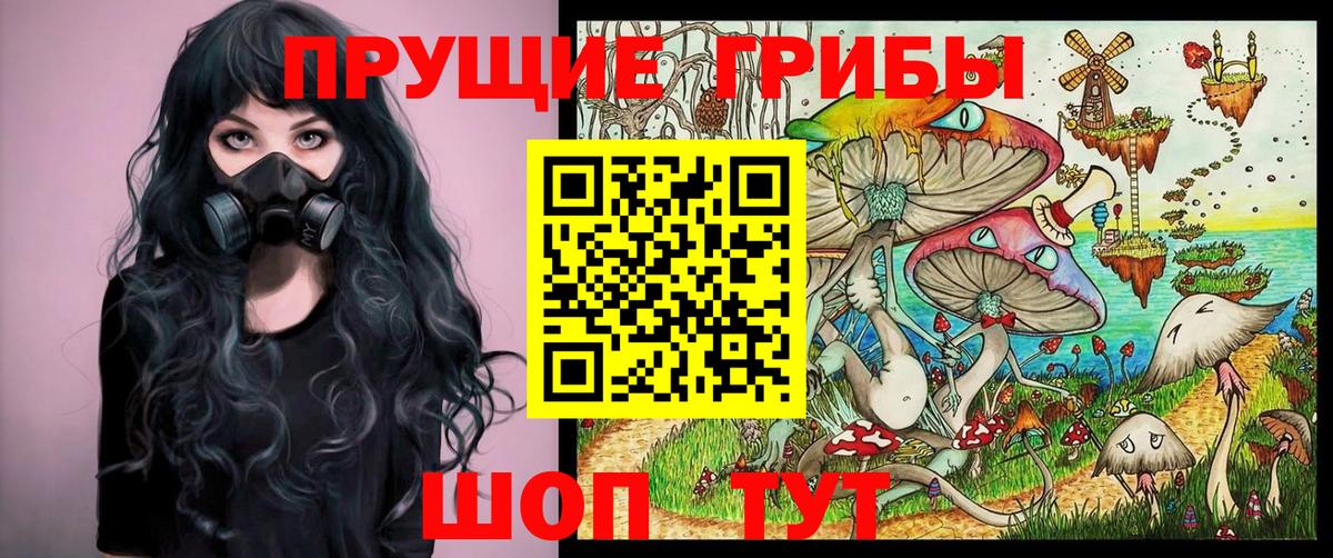 Псилоцибиновые грибы Psilocybine cubensis Фролово