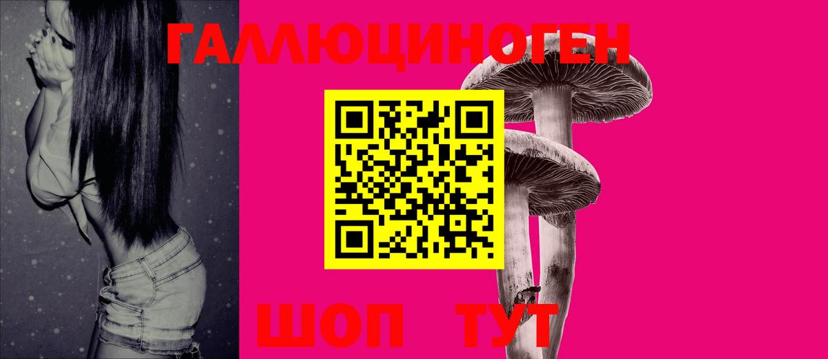 Псилоцибиновые грибы Psilocybine cubensis  Псилоцибиновые грибы GOLDEN TEACHER  Фролово  Вход с VPN 